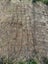 Reinforcing steel offcuts x5 Carousel 3