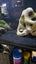 Fluval 123L fish tank and stand Carousel 5