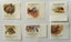 1981 Animals Carousel 1