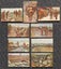 9 WW1 Postcards: "The King at The Front" and "Daily Mail Official War Pictures" Carousel 3