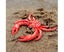 Simulation Hermit Crab Marine Animal PVC Model Desktop Decor Education Kids Carousel 3