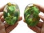 Resin Lava Dragon Egg Sculpture Carousel 6