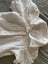 David Jones girls dress s8 Carousel 3