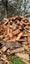 FIREWOOD Carousel 2
