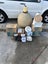 Loading Image 5 of 5