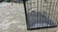 Animal cage Carousel 1