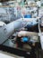 Bonaire Ducted Gas Central Heater Carousel 6