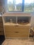 Cot and change table/draws Carousel 2