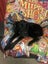 Dog free to a loving home Carousel 4