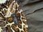 Augustine Black Sequin Blazer with Leather Animal Print Collar Size L Carousel 3