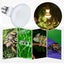 1 Pairs E27 Turtle Reptile Lizard Basking Light Heat Lamp Heater UVB/UVA Bulb Carousel 3