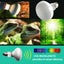 1 Pairs E27 Turtle Reptile Lizard Basking Light Heat Lamp Heater UVB/UVA Bulb Carousel 4