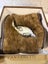 Italian Suede Womens Boots (Size 40) Carousel 4
