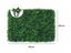 Artificial Grass Wall Carousel 2