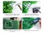 Artificial Grass Wall Carousel 3