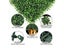 Artificial Grass Wall Carousel 4
