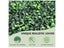 Artificial Grass Wall Carousel 6