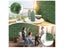 Artificial Grass Wall Carousel 12