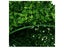 Artificial Grass Wall Carousel 13
