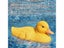 2.4Ghz RC Duck Boat Hunting Motion Remote Control Duck Boat Carousel 4
