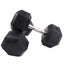 Rubber Hex Dumbbells Carousel 1