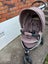 Valco Baby Ion - newborn to toddler pram/pushchair Carousel 10