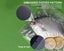 Vacuum Sealer Bags Carousel 6