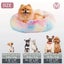 ~*New*~ Round Cozy Pet Bed for Dogs Carousel 1