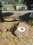 Septic tank Carousel 7
