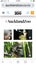 Auckland Zoo Family Tickets Carousel 1