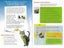 City kitty - cat toilet trainer Carousel 5