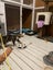 Scaredy Kittens - looking for loving homes Carousel 15