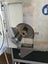 Retsch Cutting Mill SM300 Carousel 5