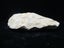 BR 9577 - Old Neolithic Stone Tool - Flint - From a collection in France Carousel 3