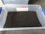 Waterbox 20 FULL planted aquarium setup Carousel 5