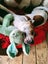 Irving (Ellie's Canine Rescue & Rehome) Carousel 3
