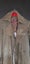 Zambesi coat Carousel 2