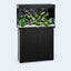 $1295 Juwel Rio 125L LED Black Aquarium & Cabinet Bulgarian Angel Fish Pair Carousel 1