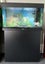 $1295 Juwel Rio 125L LED Black Aquarium & Cabinet Bulgarian Angel Fish Pair Carousel 3