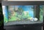 $1295 Juwel Rio 125L LED Black Aquarium & Cabinet Bulgarian Angel Fish Pair Carousel 4