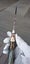 Exclusive 26cm World-Class Premium Knife Sharp Ultra Rare 1 of 1 in NZ Brand New Carousel 9