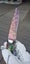 Exclusive 26cm World-Class Premium Knife Sharp Ultra Rare 1 of 1 in NZ Brand New Carousel 15