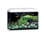 **NEW JUWEL BLACK PRIMO 70L LED WITH CABINET - PERFECT STARTER** Carousel 5