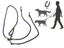 PTN NEW Dog Leash Sale Sale Carousel 7