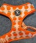 KYLOMI MANDIREN THEMED DOG/PUPPY HARNESS SIZE MEDIUM Carousel 1