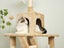 Cat Tree Tower Scratching Post Scratcher Condo House Furniture Carousel 5