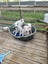 Rebel - American bulldog x - Spot Rescue Carousel 8