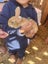 Baby Rabbits! Flemish Giant cross Carousel 2