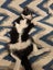 CAT RESCUE CHCH - Ready For Adoption Sparkle Socks Carousel 4
