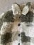 Zara Sherpa Style Jacket Carousel 2